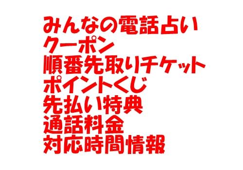 みんなの電話占い（みん電） クーポン 順番先取りチケット ポイントくじ 先払い特典 通話料金 情報に関して