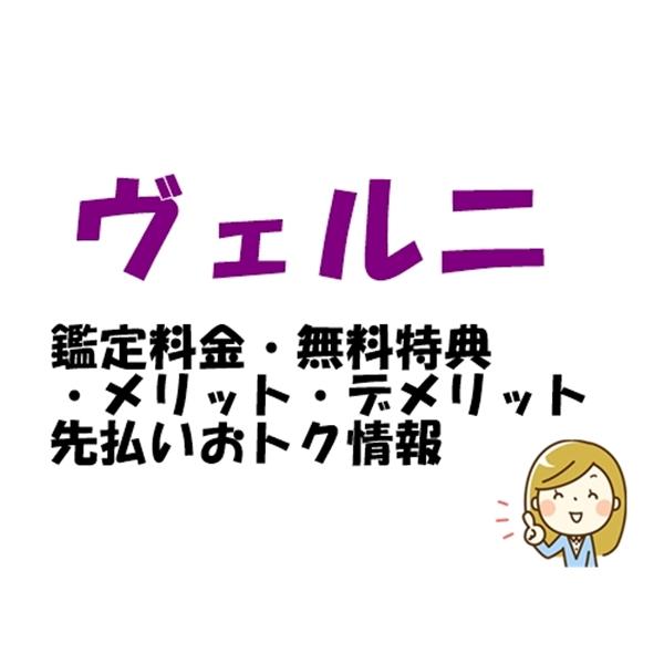 ヴェルニ 鑑定料金・無料特典・メリット・デメリットや先払いおトク情報