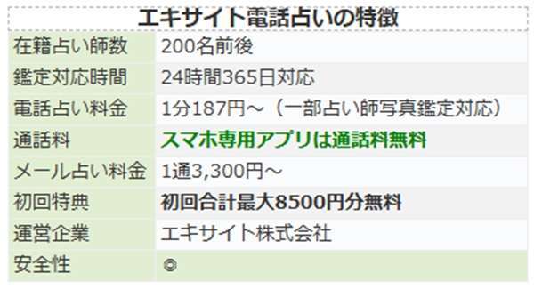 エキサイト電話占いのサービス概要