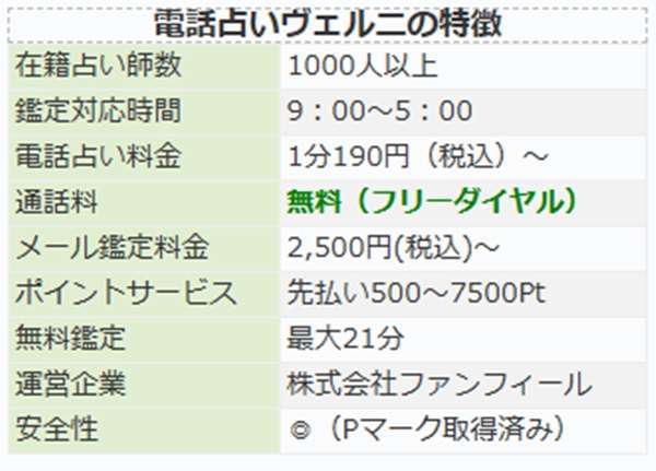 電話占いヴェルニのサービス概要